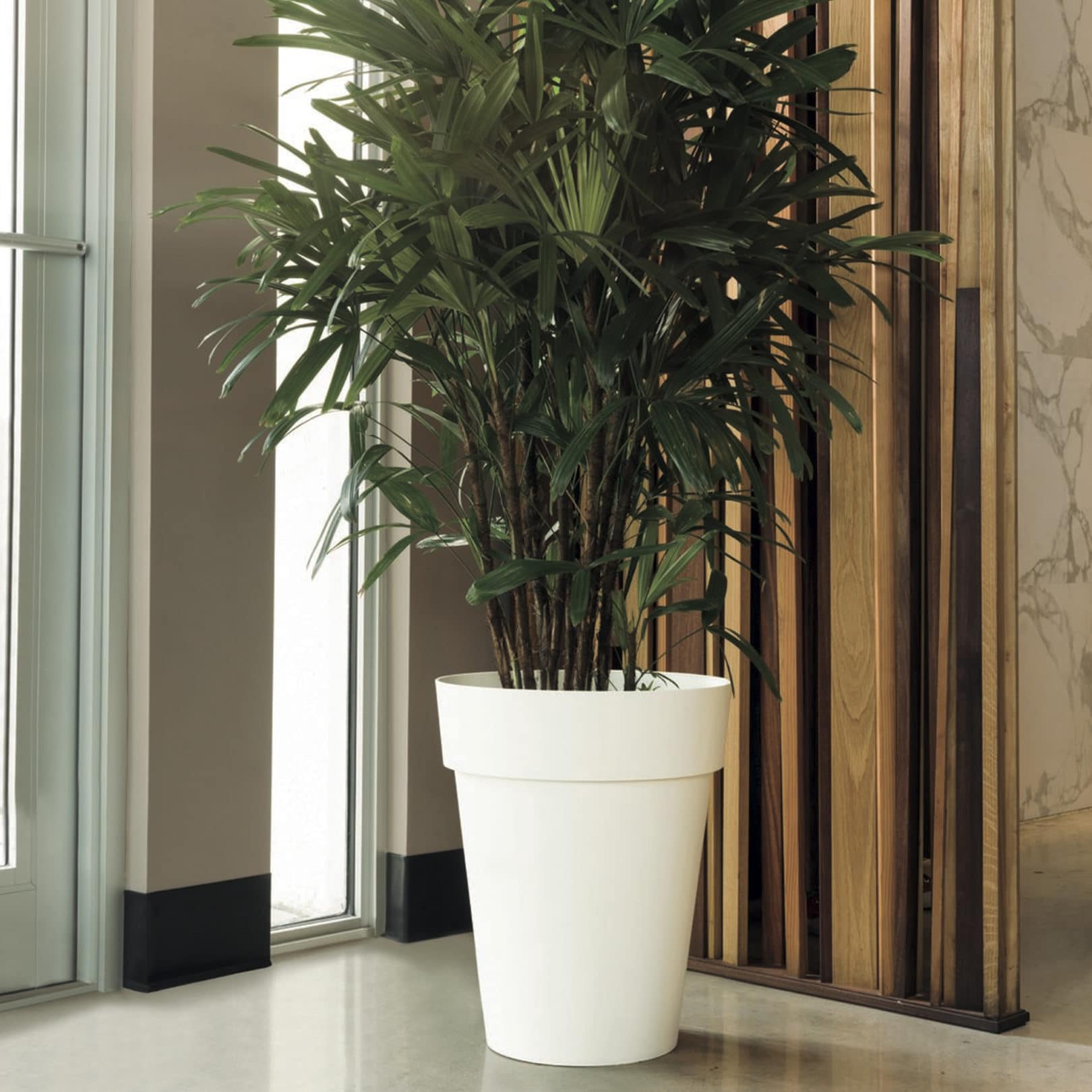 Palm in Pierre Tall Round Planter