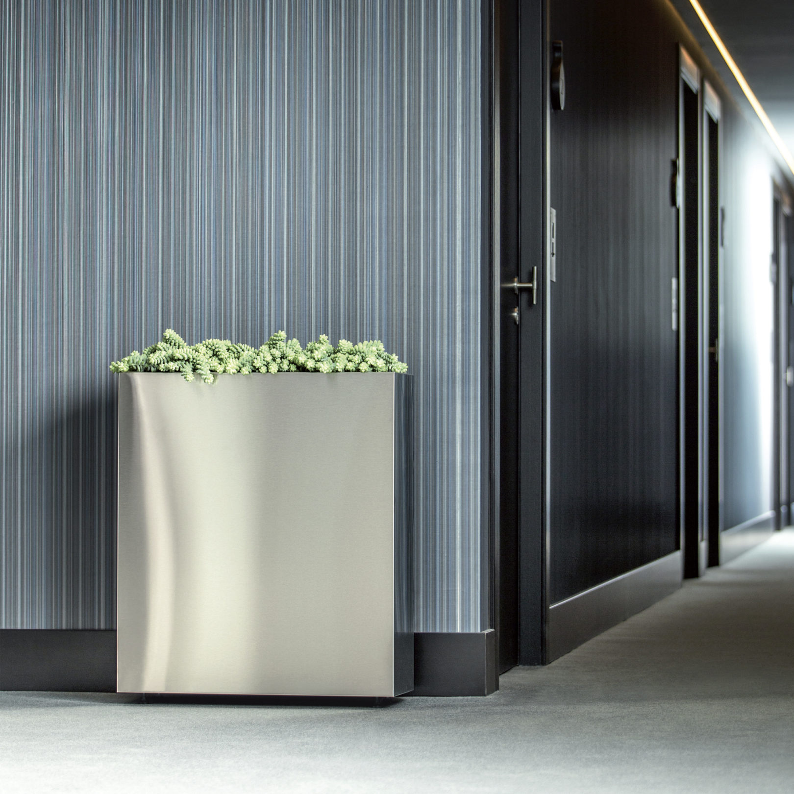 Wall and Hallway with Ferrum Tall & Narrow Rectangular Planter